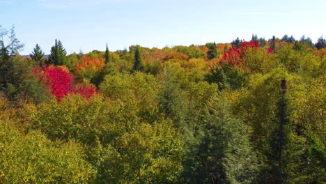 Drohnenangriff-über-Den-Baumwipfeln-Und-Dem-See-Im-Réserve-Faunique-La-Vérendrye-In-Montréal,-Québec,-Kanada