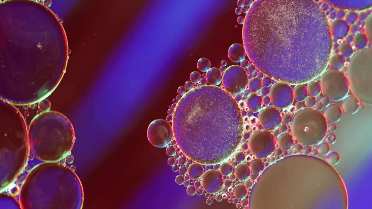 animación de burbujas que se mueven en fondo rojo y azul con espacio de copia.