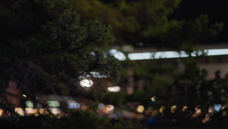 a close-up view of tree branches with a backdrop of blurred city lights at night