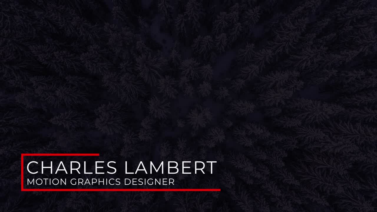 Winter Forest Aerial View