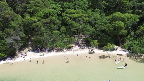 Un-Video-Cercano-De-La-Playa-Del-Parque-Nacional-Burleigh-Heads