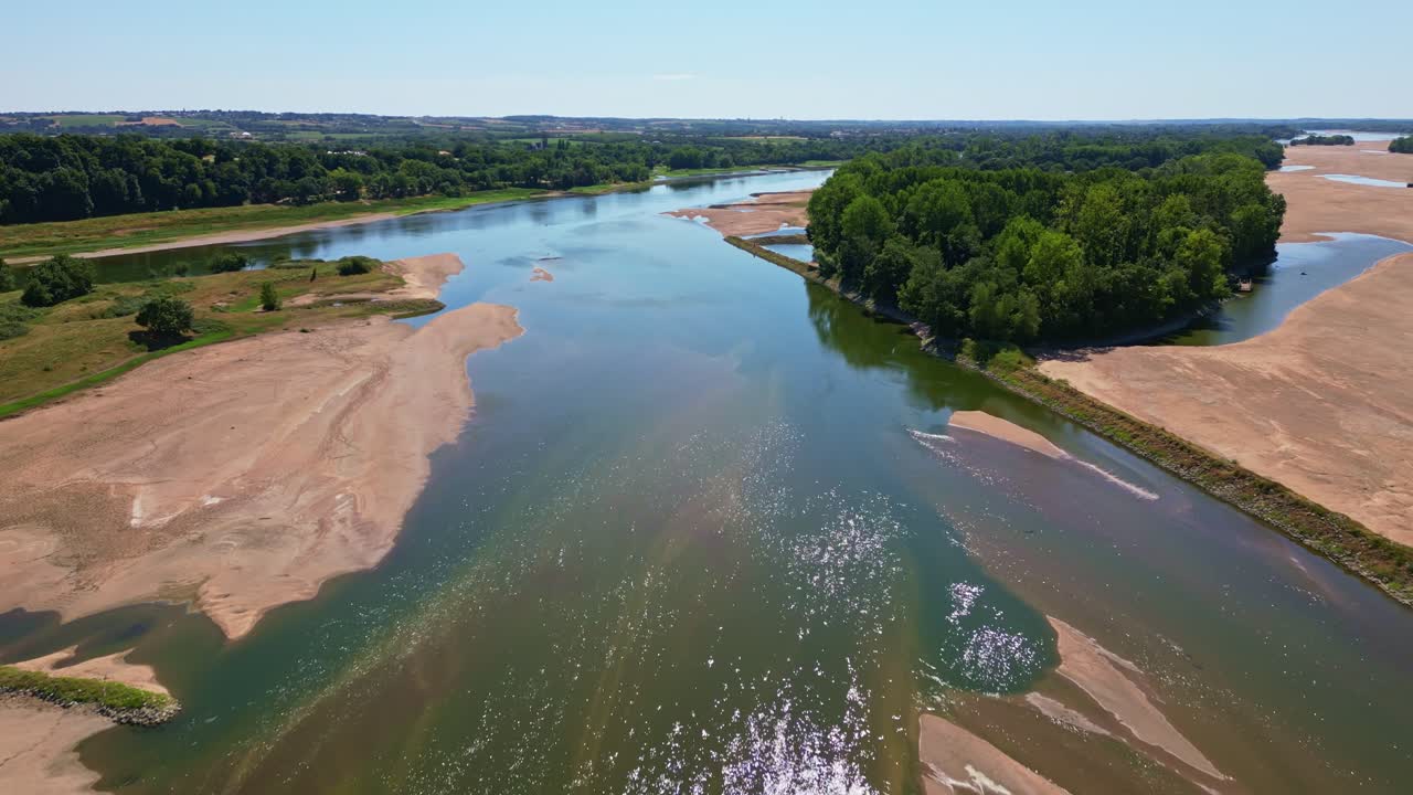 Flock of birds on sandbank in Loire River, sandbars and green forest on sunny day, Loireauxence, France. Aerial drone forward