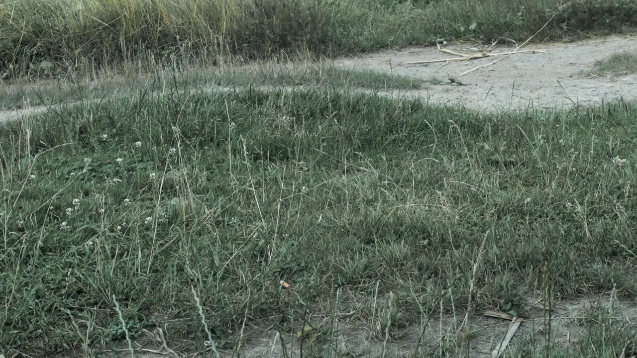 rueda de motocicleta para el motocross. corredores de motocicletas.