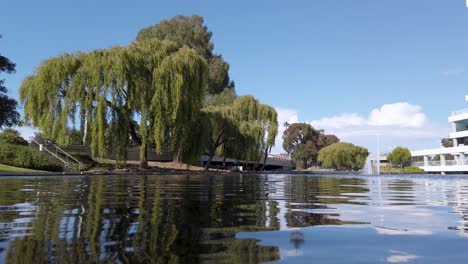 Teich-Mit-Reflexionswellen-Von-Weiden,-Die-Sich-Im-Wind-Wiegen,-Und-Springbrunnen-Mit-Blauem-Himmel-An-Sonnigen-Tagen-In-Der-Lagune-Der-Pflegestadt-Im-Silicon-Valley