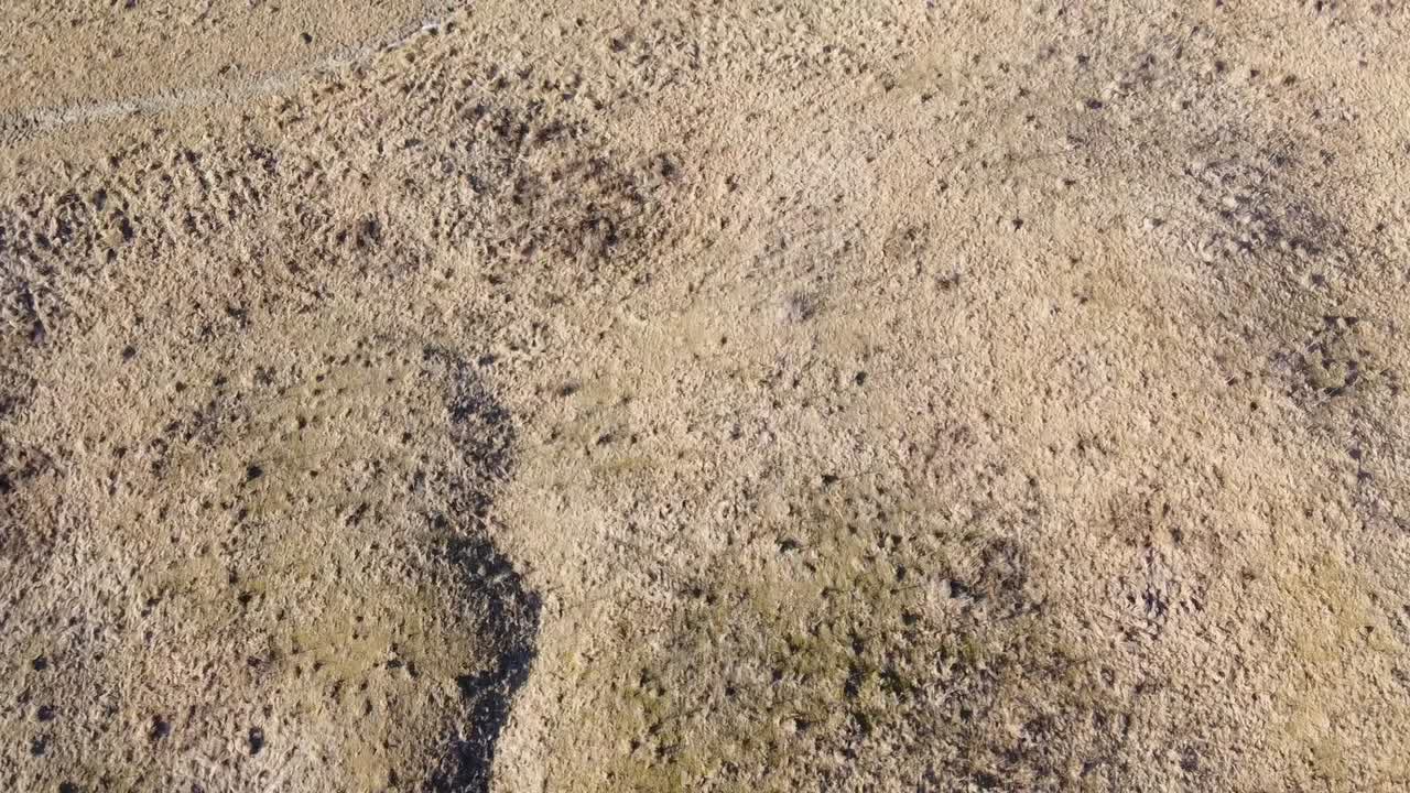 가을 시즌, 낮에 힐과 죽은 초목이 있는 시골 지역의 공중 드론 샷