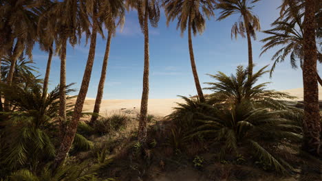 un oasis de palmeras en el desierto