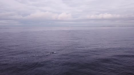 Man-Swimming-In-Ocean-Cloudy-Day-Drone