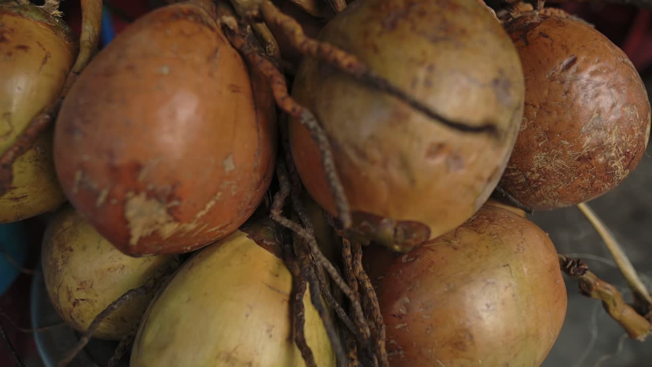 Primo piano di una composizione di noci di cocco tropicali. Un tavolo robusto presenta noci di cocco fibrose e l'allestimento del venditore. Bancarella tropicale che espone noci di cocco marroni con gusci testurizzati e peduncoli, in primo piano dettagliato.