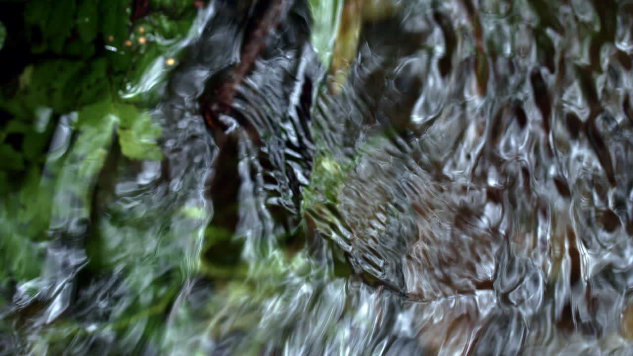 Cold water flowing from spring in forest. Babbling brook in woods