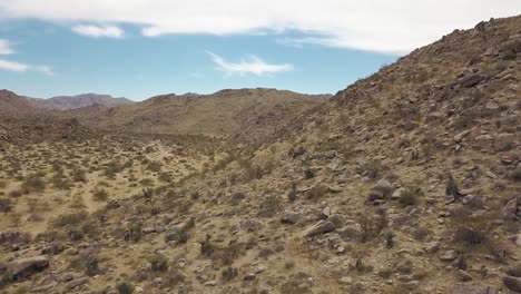 Aerial-drone-shot-of-plants-and-rocks-in-wild-desert-of-Joshua-Tree-National-Park-in-Summer