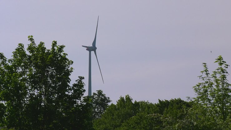 En vindmølle drejer langsomt bag grønne træer og foran en blå himmel