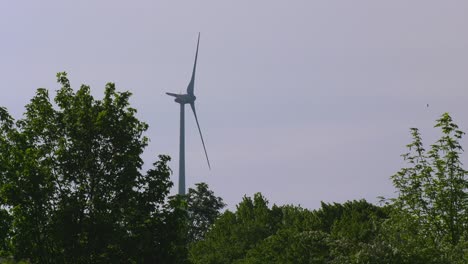 Un-Molino-De-Viento-Gira-Lentamente-Detrás-De-árboles-Verdes-Y-Frente-A-Un-Cielo-Azul