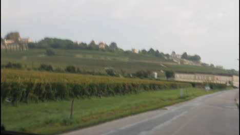 vineyard landscape with buildings