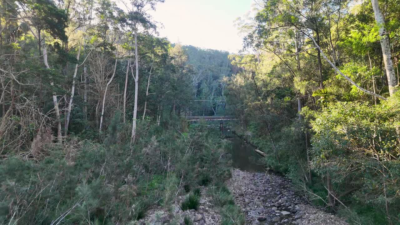 Aerial view of a forested creek with sunlight filtering through trees, highlighting a serene natural landscape