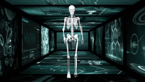 Animation-of-human-skeleton-walking-hallway-of-scientist-screen
