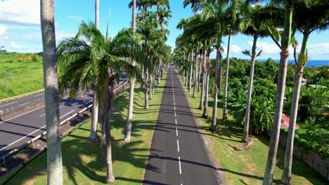 aerial view of allee dumanoir in guadeloupe island, capesterre belle eau