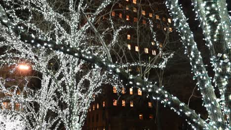 Paisajismo-Al-Aire-Libre-luces-Navideñas-En-La-Ciudad-De-Nueva-York