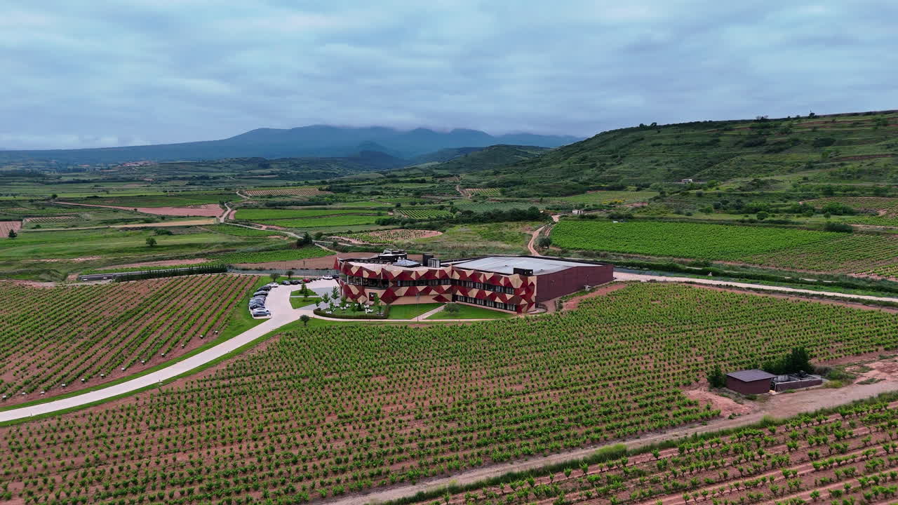Slow frontal approach towards a modern winery amid lush vineyards in La Rioja. Scenic wine region landscape with rows of grapevines and rolling hills