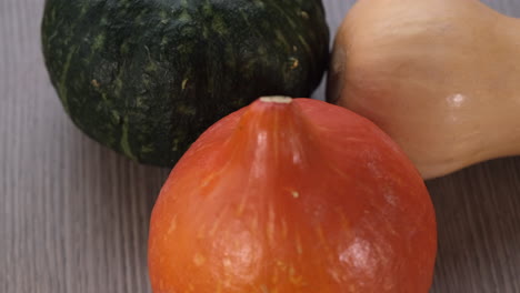 calabazas de colores girando