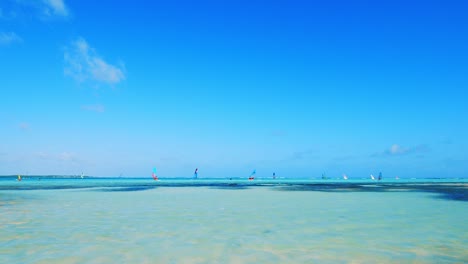 wide angle shot of a large group of windsurfers out on the water in the beautiful lac bay in bonaire, caribbean