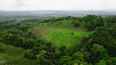 Imágenes-Aéreas-De-Naturaleza-Tropical,-Bosques-Y-Paisajes-Cultivados.