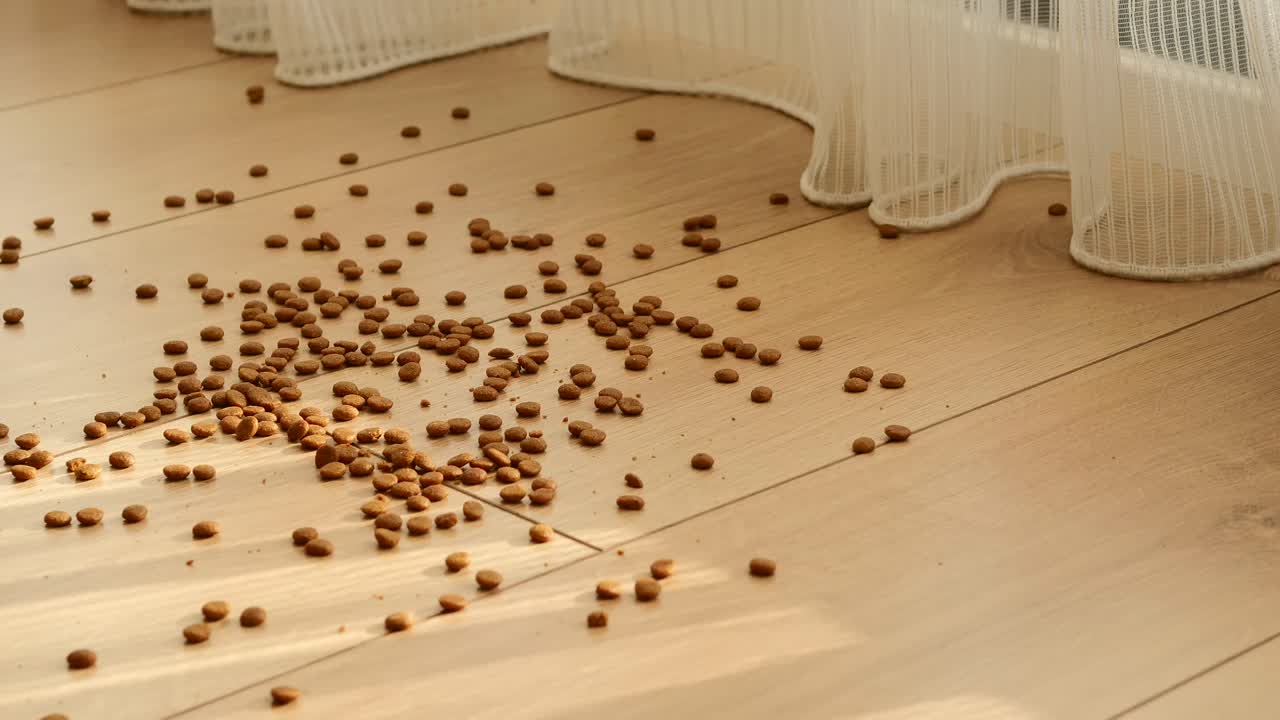Spilled dog food on the floor