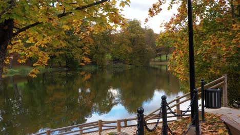 Parkweg,-Der-Zum-Magischen,-Ruhigen-Teich-Führt,-Blick-Nach-Vorne-Auf-Den-Drohnenwagen-Aus-Der-Luft