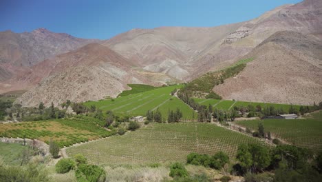 panorama aéreo de los viñedos en el valle de elqui, región de coquimbo, chile