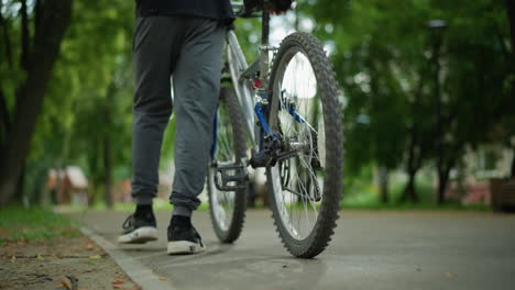 leg back view of young boy in black top and ash pants walking his bicycle along a park pathway, the scene is surrounded by trees and greenery, with blurred people sitting in the background