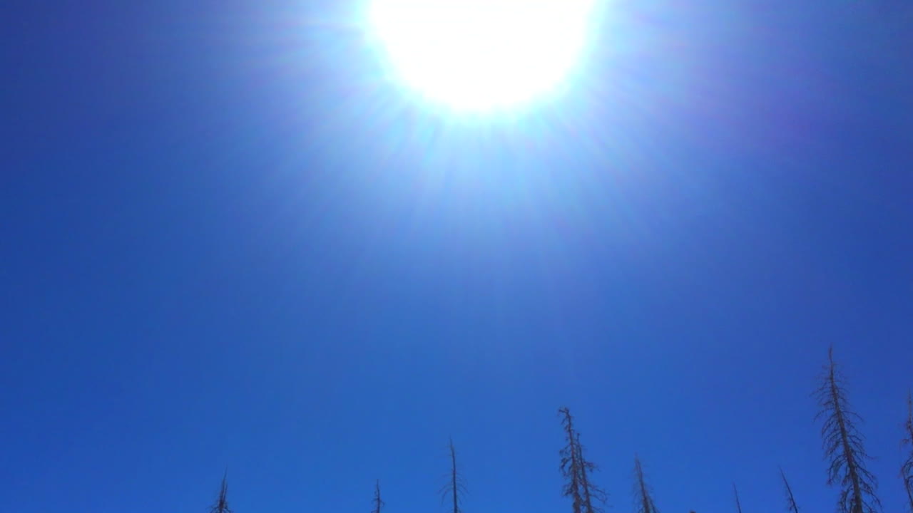 Looking up at the sun.