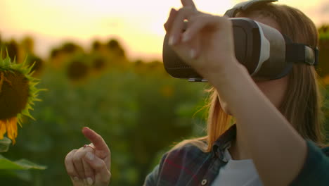 a young female student uses vr glasses on the field with sunflowers in sunny day. these are modern technologies in summer evening.