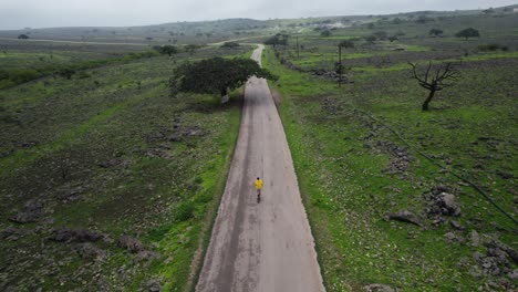 montando un scooter eléctrico en la naturaleza verde clip de avión no tripulado