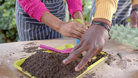 Mid-section-of-african-american-couple-in-aprons-planting-in-sunny-garden,-slow-motion