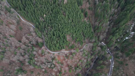 Fronalpstock-Glarus-Schweiz-Kurvenreiche-Straße-Durch-Den-Abgelegenen-Schweizer-Wald