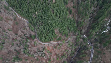 fronalpstock glarus suiza camino sinuoso a través del remoto bosque suizo