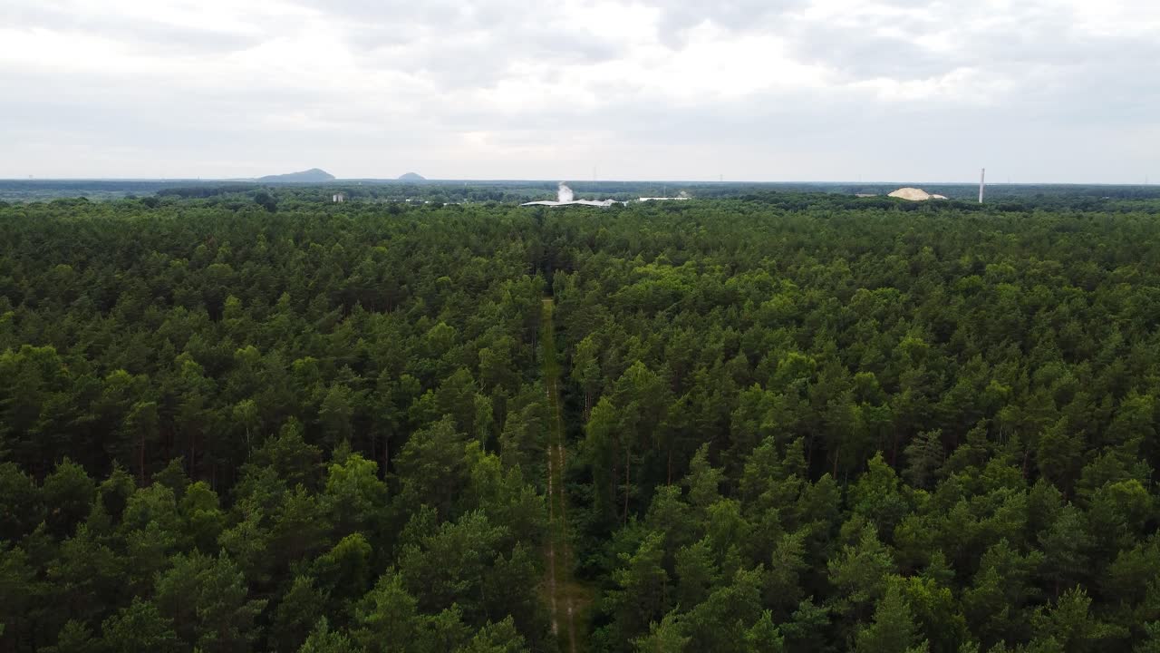 bosque de coníferas y una pequeña carretera que conduce a través, vista aérea