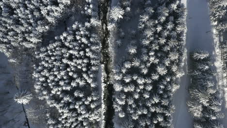 Toma-Aérea-Del-Río-Que-Serpentea-A-Través-Del-Paisaje-Montañoso-Invernal,-árboles-Cubiertos-De-Nieve