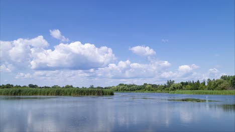 white rolling clouds over marsh nice day timelapse