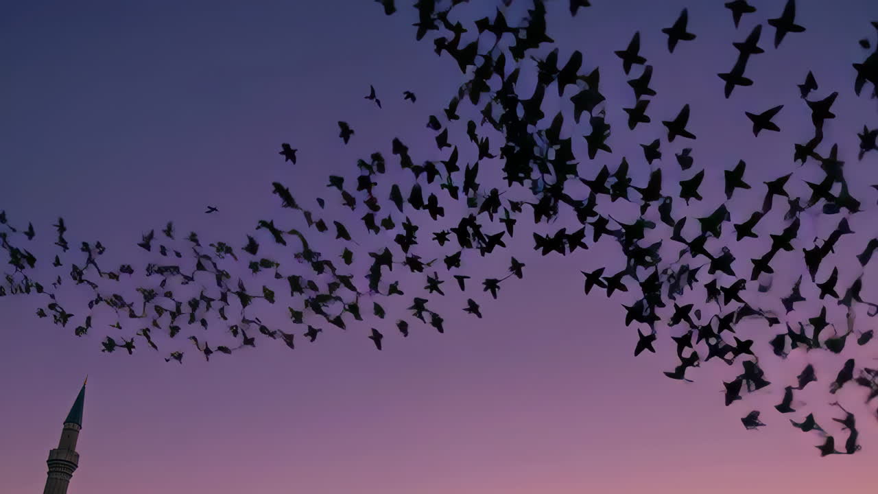 птицы, летящие над мечетью при заходе солнца