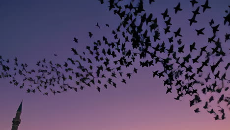 birds flying over a mosque at sunset