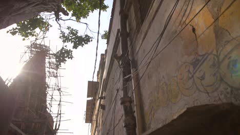 monkeys jumping between buildings