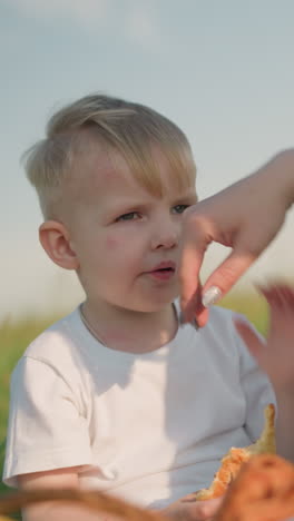 a tender moment as a little boy wearing a white shirt sits in a grassy field holding a snack, while his mother lovingly touches his head and gently cleans his mouth,capturing a scene of nurturing care