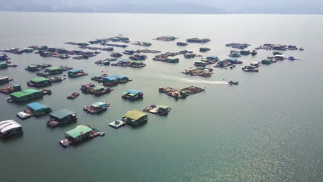 shuen wan typhoon shelter, tai po, hong kong