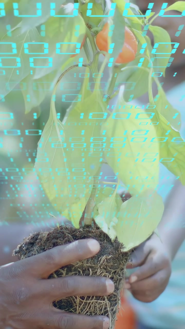 Video verticale: Anziano che esamina una radice sollevando una piantina e insegna ai bambini il giardinaggio, con tracciamento tramite sovrapposizione ciano.