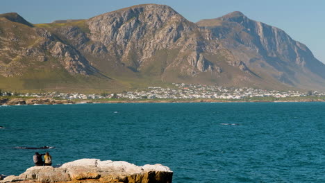 tourist couple gets close-up view of whales close to shore - scenic coastal town with mountains in background