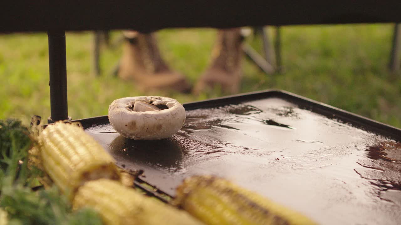 오후 바베큐는 야채와 고기 꼬치로 마감됩니다.