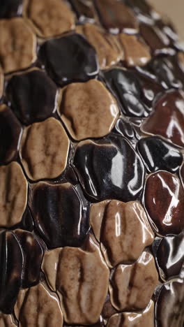 close-up of snake skin texture