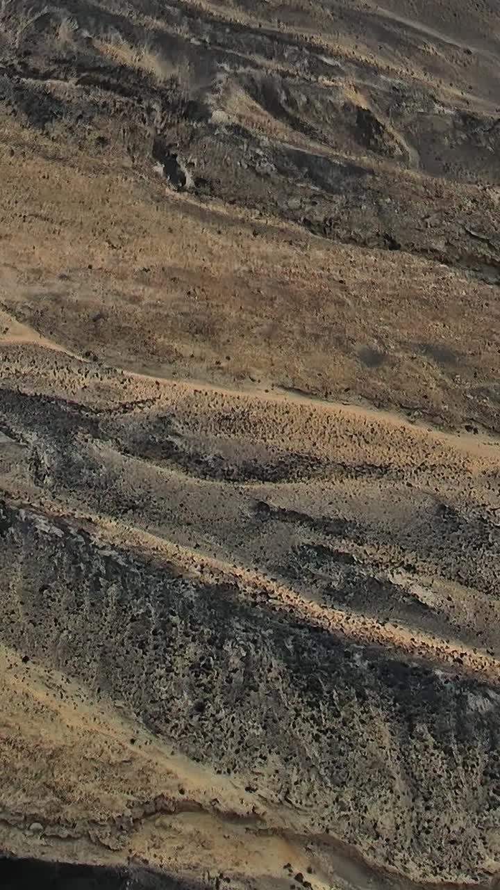 Dune di sabbia vulcanica scura con arbusti desertici.