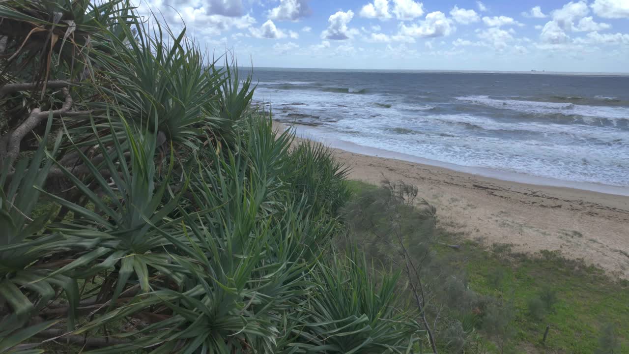 4K video of a beautiful sandy beach with green vegetation in the foreground
