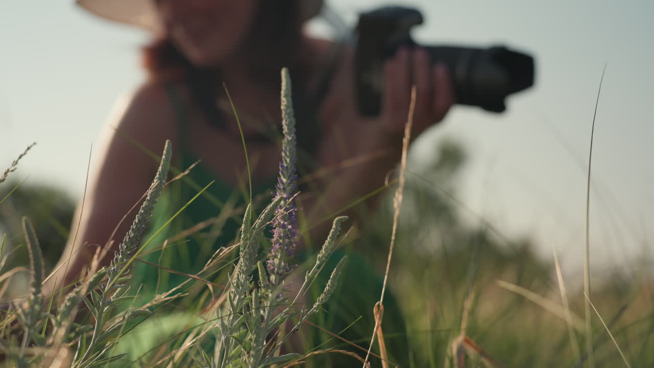 close up of wild purple flower swaying in sunlight as woman in green dress walks closer with camera and squats gently to observe plant in calm meadow under clear sky during golden hour